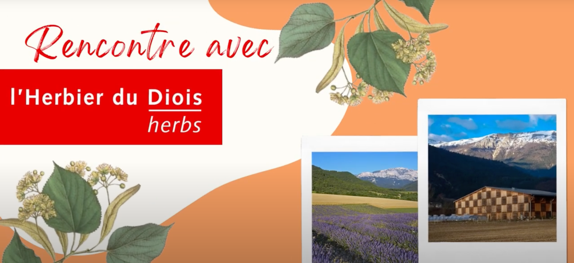 Capture d ecran 2023 02 22 a 15