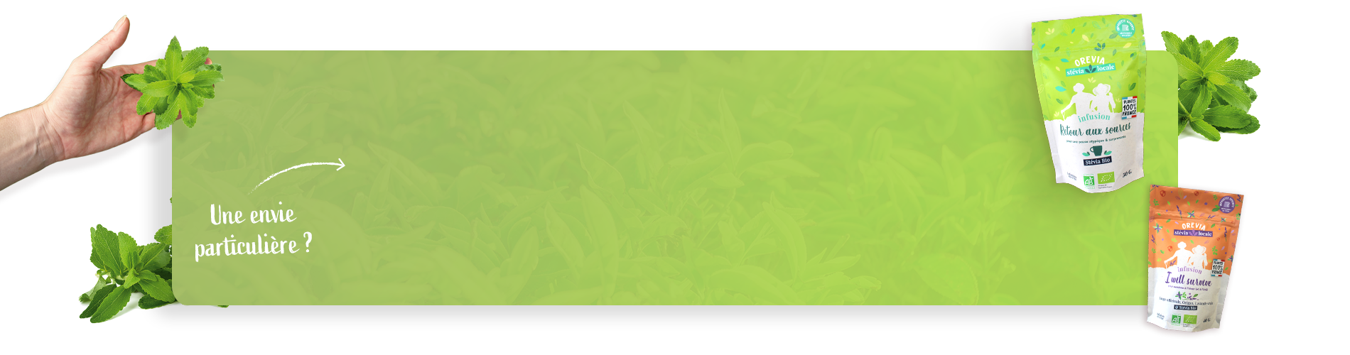 Vous êtes plutôt...